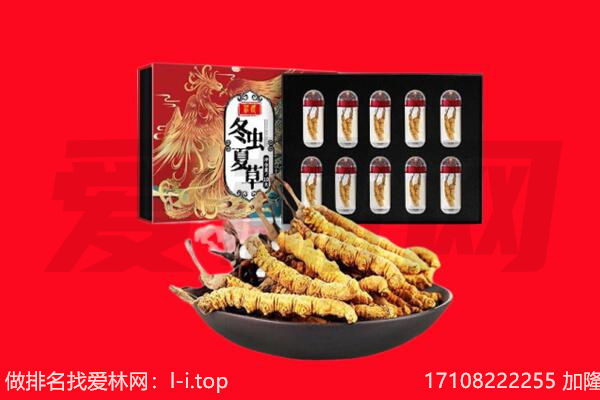 淮南回收虫草.jpg